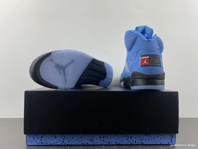 UNC Air 5 DV1310-401 Jordan 0818
